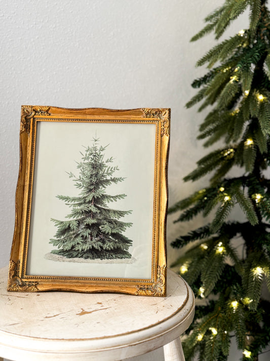 Vintage FRAMED Christmas Tree Wall Art Print Holiday Decor, Nature: 8x10 *SEASONAL*